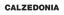 Calzedonia logo