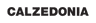 Calzedonia logo